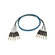 Whirlwind Medusa Multitrack 6 Channel 1/4" TRS Male to 1/4" TRS Male Snake - 10'