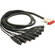 Mogami Gold 8 Channel Analog Snake Cable, DB-25 to 8x XLR Female - 10'