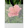 Dot Line Plastines Envelopes for 16 x 20", Holds One Sheet