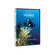 24fps Productions DVD: Underwater Video Basics