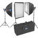Savage Variable Power 3 Flood Light Kit