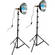 Impact Daylight Flood Light Kit (120VAC)