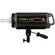 Photoflex StarFlash 1000 W/S Monolight (120V)