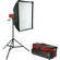 Photoflex StarFlash Mercury Medium Kit with Case (120VAC)