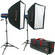 Photoflex StarFlash Gemini Medium Two Monolight Kit with Case (120VAC)