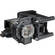 Panasonic ET-LAF100 Replacement Lamp