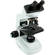 Celestron Model #44108 1500x Professional Biological Microscope
