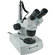 Celestron Model #44204 Professional Stereoscopic Dissecting Microscope