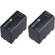 Sony NP-F970 Info-Lithium Battery 2 Pack