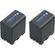 Sony NP-QM91D Info-Lithium Battery 2 Pack