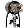 Speedotron 105 UV Bi-Tube Lamphead