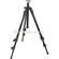 Manfrotto by Bogen Imaging 055XDB Tripod Legs (Black), with Wing-Nut Leg Locks