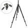 Manfrotto by Bogen Imaging 055XPROB Tripod Legs (Black) w/ 804RC2 Head 
