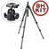 Manfrotto by Bogen Imaging 055XPROB Tripod Legs (Black) with 488RC2 Midi Ballhead