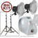 Bowens Trilite Fluorescent Digital Lighting Kit (120V)