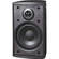 MTX Home Audio MP41B 2-Way Indoor/Outdoor Speaker (Black)