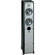 Infinity Primus P252BK Dual 5-1/4" 2-Way Floorstanding Speaker (Black)