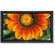 NEC 50XP10-BK 50" PlasmaSync 720p Display