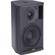 EAW JFX290i 2-Way Loudspeaker (Black)