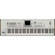 Korg Pa2X Pro 76-Key Professional Arranger Workstation Keyboard