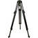 Manfrotto by Bogen Imaging 3181 Lightweight Professional Tripod Legs (Black)