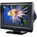 Audiovox FPE2208DV 22" LCD TV/DVD Combination 