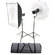 Bowens Esprit Gemini Digital Two Monolight Travel-Pak Kit (120VAC/12VDC)