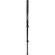 Manfrotto by Bogen Imaging 681B Monopod (Black)