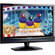 Viewsonic N1630w 15.6" 720p LCD TV