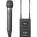 Sony UWP-V2 Wireless Handheld Microphone Package (42/44 - 638 to 662MHz)