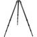 Gitzo GT3541XLS Systematic 6X Carbon Fiber Tripod Legs - Supports 39.6 lbs (18kg) 