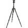Benro C-268M8 Travel Angel Carbon Fiber Tripod with B-1 Ballhead 
