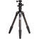 Benro C-269M8 Travel Angel Carbon Fiber Tripod with B-1 Ballhead 