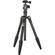 Benro A-069M8 Travel Angel Tripod with B-00 Ballhead