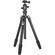 Benro A-168M8 Travel Angel Aluminum Tripod with B-0 Ballhead