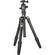 Benro A-269M8 Travel Angel Aluminum Tripod with B-1 Ballhead