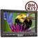 Ikan V-8000HDMI 8" LCD Monitor