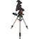 Celestron CGEM Computerized Equatorial Telescope Mount