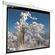 AccuScreens demo/ELEC PROJECTOR SCREEN 120"D - MAT