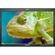 Panasonic BT-LH2550  Monitor de V�deo LCD HD/SD Widescreen de 26