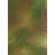 Botero #042 Rotary System Background 5x7' Green, Orange