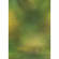 Botero #047 Rotary System Background 5x7' Green, Yellow-Green