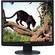 Samsung SyncMaster 943BM 19" LCD Computer Display (Black)
