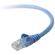 Belkin CAT5e Ethernet Cable - 7' (2.13m)