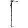 Manfrotto by Bogen Imaging 561BHDV Video Monopod with Fluid Head (Black)