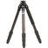 Benro C-258M8 Carbon Fiber Tripod Legs - Supports 26.5 lbs (12 kg)