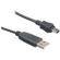 General Brand USB-A to USB-Mini-B Cable (10')
