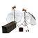 Speedotron 1005CC Deluxe Location Kit