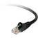 Belkin 14' (4.3 m) RJ-45 Cat5e Snagless Patch Cable (Black)