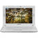 Samsung N120 Series N120-12GW Netbook Computer (White)